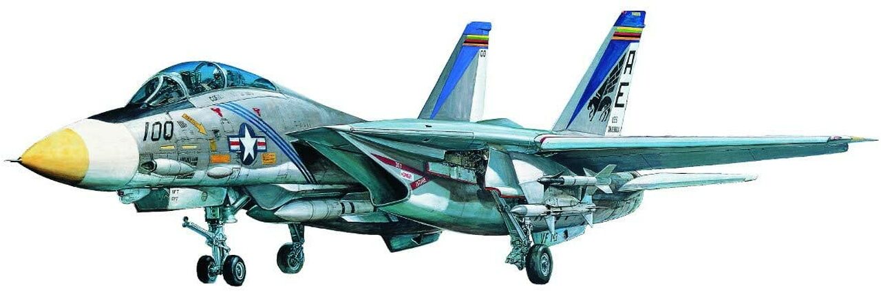 Doyusha 1/72 USN F-14A Tomcat "VF-143 Pukin Dogs"